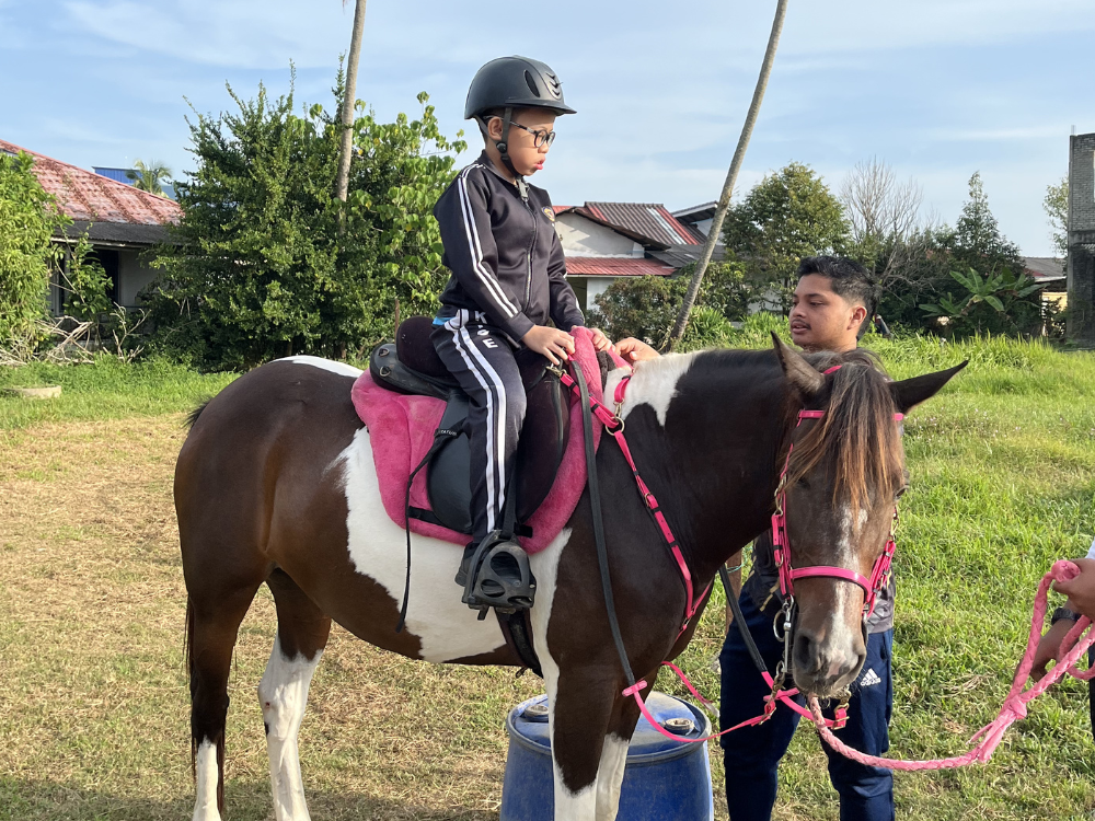 Horse Riding