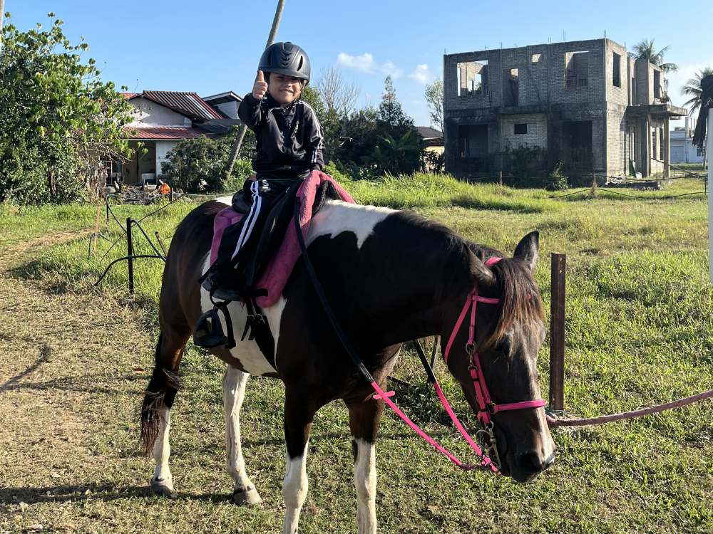 Horse Riding