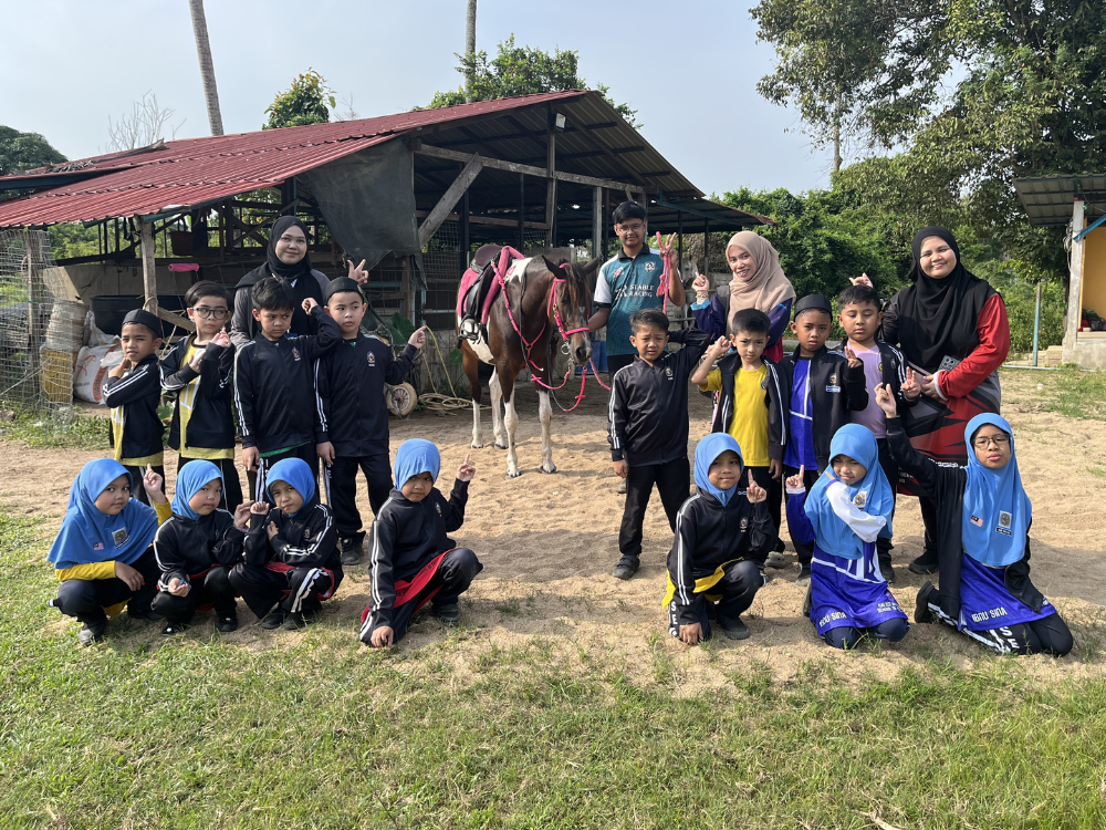 Horse Riding