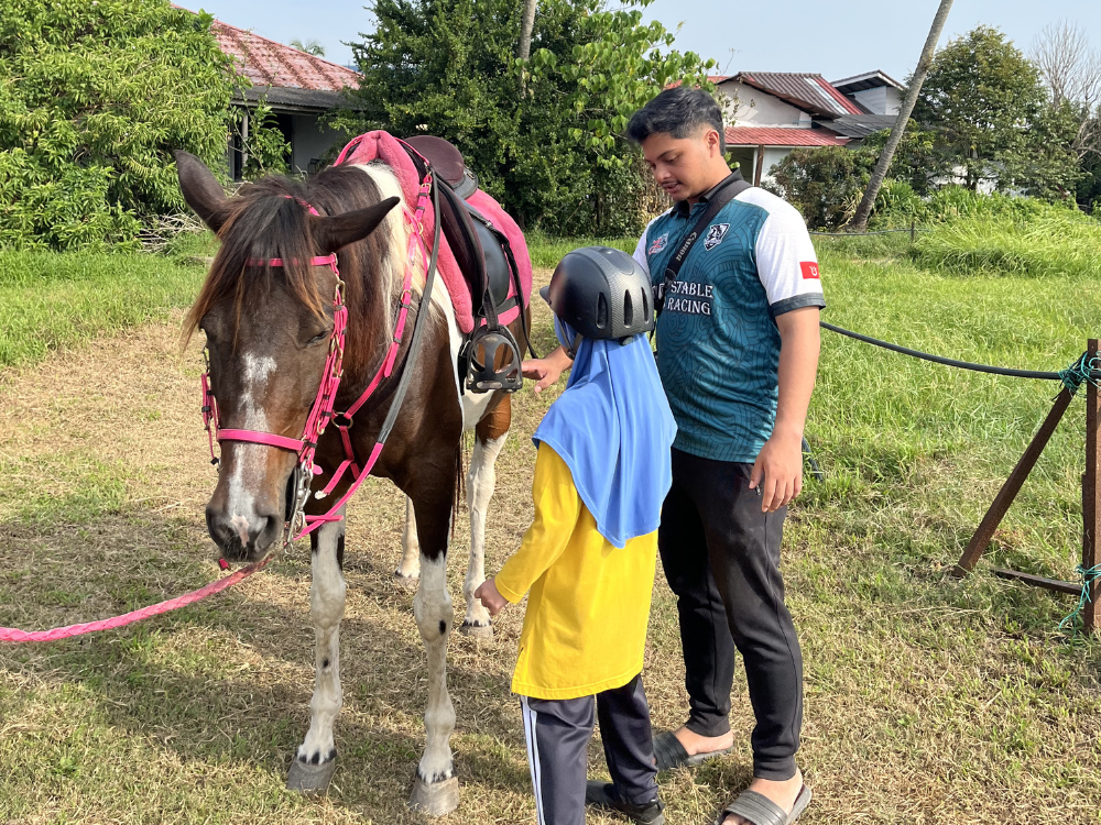 Horse Riding